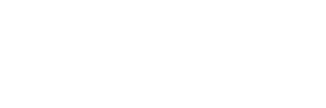 Business Technology Director, BlenderBottle®