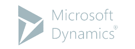 Microsoft Dynamic Software