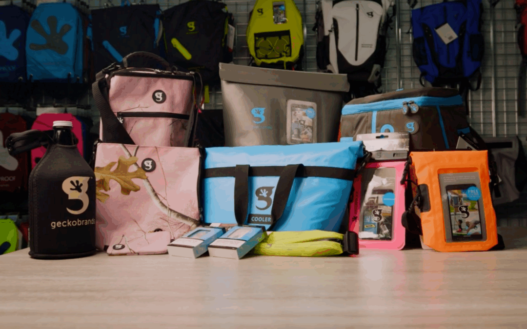 How Geckobrands Grew Sales With Smarter Data