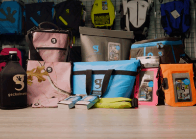 How Geckobrands Grew Sales With Smarter Data