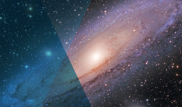 How a Wholesale Distributor Escaped a ‘Black Hole’