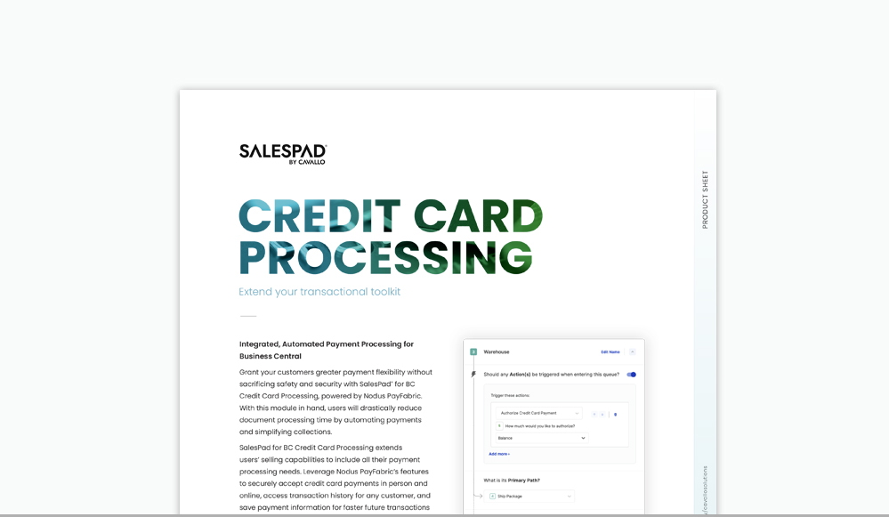 CAV_Web_Resources-Graphics-fact-sheets_Smaller-Credit-Card-Processing-1