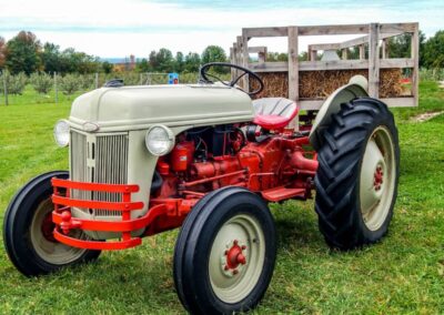 Steiner Tractor Parts Streamlines Orders