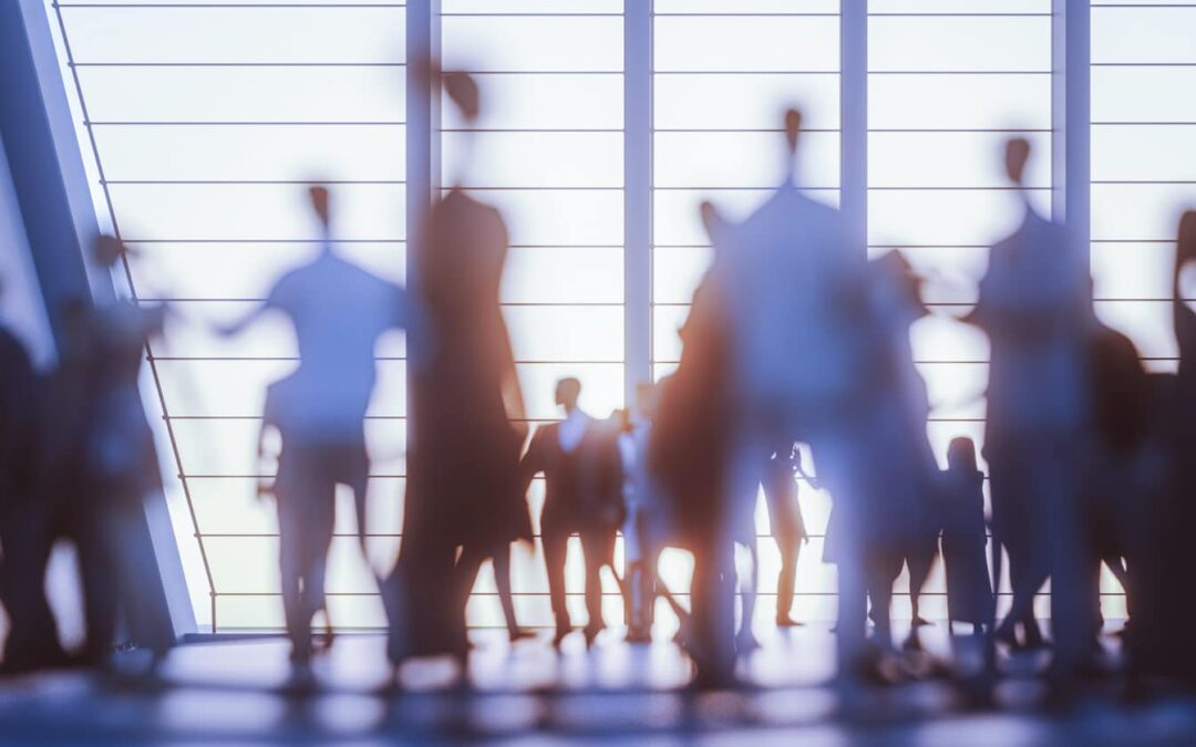 Go Head-to-Head with Distribution Giants — And Win